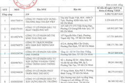 Thuế TP. Hồ Chí Minh công khai danh tính 219 trường hợp nợ thuế hơn 5.200 tỷ đồng