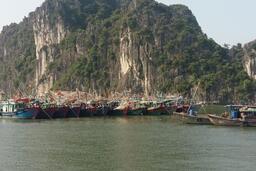 Quảng Ninh tăng cường phòng, chống khai thác IUU