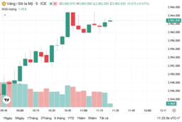 Ngày 5/11: Giá vàng trong nước tiếp tục giảm mạnh