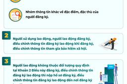 Thông tin đăng ký lao động và cơ sở dữ liệu về người lao động