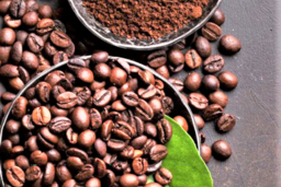 Xuất khẩu nông lâm thủy sản 11 tháng vượt kỷ lục, đạt hơn 64 tỷ USD