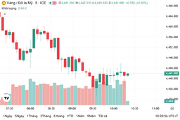 Ngày 8/1: Giá vàng trong nước chững lại