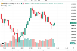 Ngày 9/1: Giá vàng trong nước tăng theo xu hướng giá thế giới