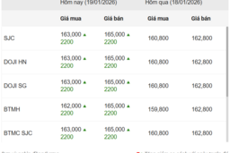 Ngày 19/1: Giá vàng trong nước và thế giới lập đỉnh mới