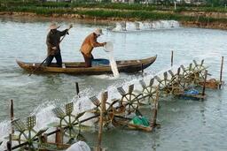 Nhiệm vụ của Quỹ bảo vệ và phát triển nguồn lợi thủy sản