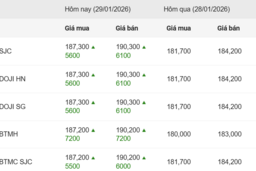 Ngày 29/1: Giá vàng trong nước tăng vượt mức 190 triệu đồng/lượng