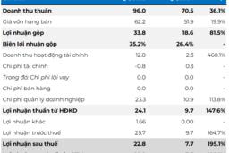 Cổ phiếu DHA “nằm sàn” dù báo lãi quý 4 gấp 3 lần