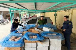 Công an Hà Nội thu giữ gần 2 tấn thực phẩm nhập lậu