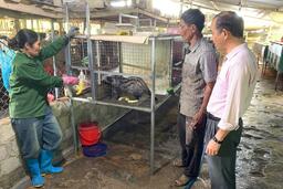 Từ nguồn vốn chính sách đến con đường giảm nghèo, làm giàu trên vùng cao Sơn Hà