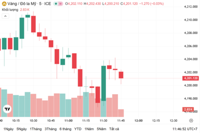 <a href="/kinh-te" title="Kinh tế" rel="dofollow">Kinh tế</a>