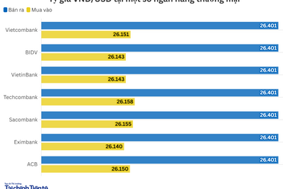 <a href="/kinh-te" title="Kinh tế" rel="dofollow">Kinh tế</a>