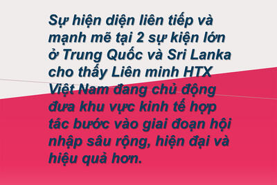 <a href="/kinh-te" title="Kinh tế" rel="dofollow">Kinh tế</a>