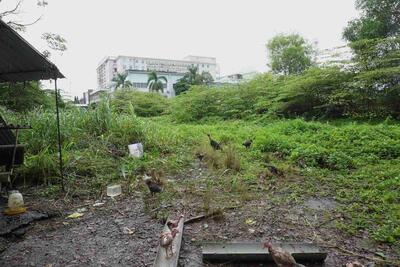 <a href="/xa-hoi" title="Xã hội" rel="dofollow">Xã hội</a>