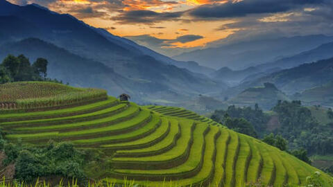 CNBC gọi Mù Cang Chải là "viên ngọc xa xôi", đặt lên top đầu điểm đến du lịch 2020