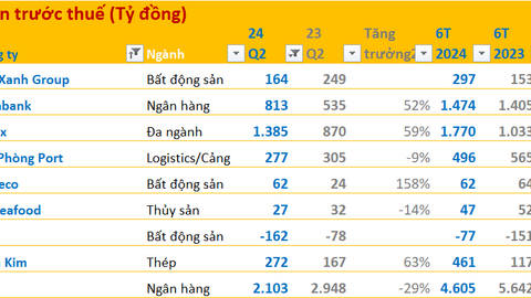 Cập nhật BCTC quý 2/2024 chiều 30/7: LDG ghi nhận doanh thu âm, Nam Kim, Eximbank, Hodeco... báo lãi tăng vọt
