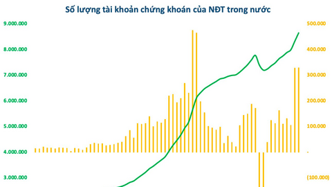 Việt Nam có thêm 1,4 triệu tài khoản chứng khoán từ đầu năm