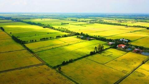 Thủ tướng yêu cầu các địa phương tập trung ban hành văn bản quy định chi tiết Luật Đất đai
