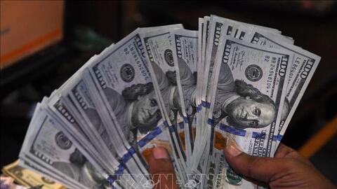 Đồng USD hướng tới tuần tăng giá mạnh nhất trong một tháng qua