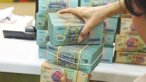 Loạt doanh nghiệp trả cổ tức, Domenal thưởng cổ phiếu 40%