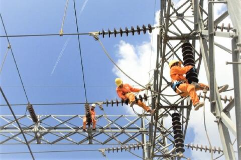 Ngành dây và cáp điện Việt Nam hướng đến đổi mới, tăng cường kết nối với thế giới