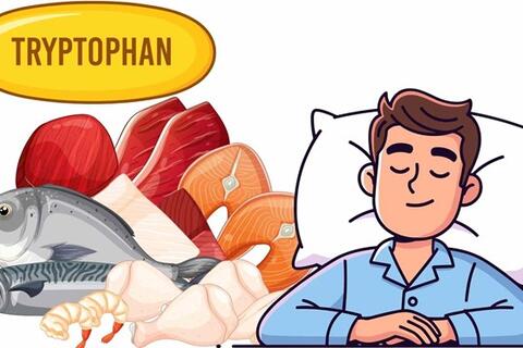 Ngủ ngon hơn nhờ bổ sung tryptophan đúng cách