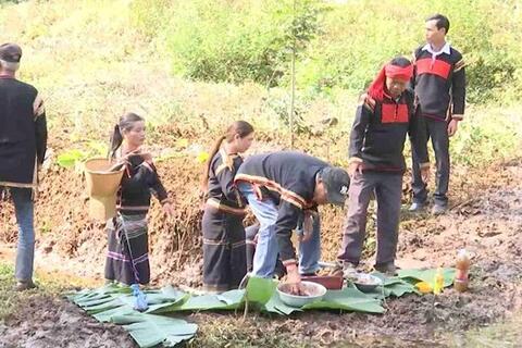 Lễ cúng bến nước - Nét đẹp văn hóa của người Ê Đê trong ngày Tết