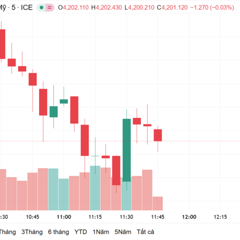 Ngày 14/11: Giá vàng trong nước giảm