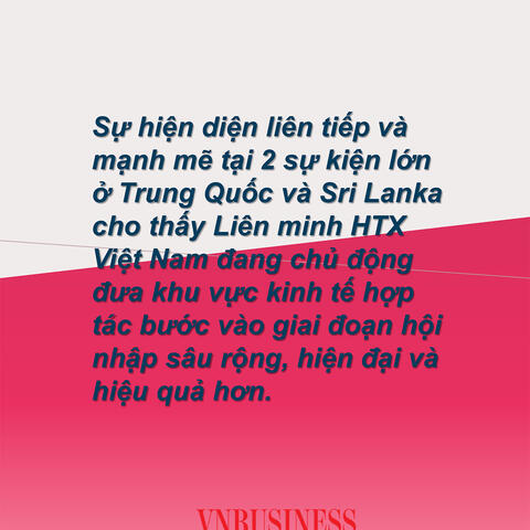Kinh tế hợp tác, HTX tháng 11: Thúc đẩy chuỗi giá trị với doanh nghiệp, hướng ra biển lớn