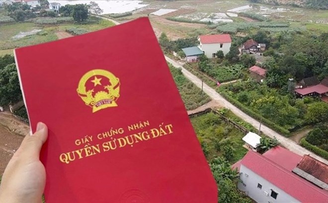 Thủ tướng yêu cầu chống trốn thuế kinh doanh online, chuyển nhượng bất động sản