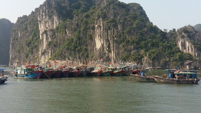 Quảng Ninh tăng cường phòng, chống khai thác IUU