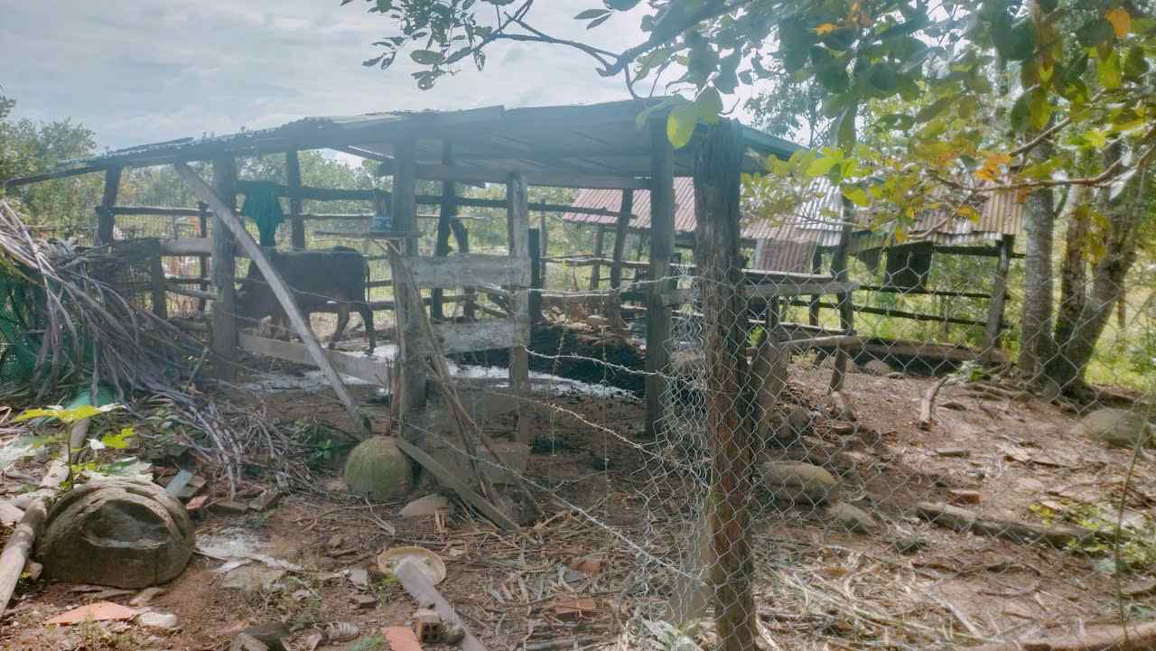 Chuồng trại mẫu được sử dụng để hướng dẫn học viên. Ảnh: Bảo Lâm