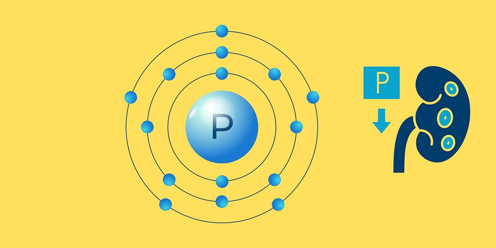 Lý do cơ thể cần phốt pho để duy trì sức khỏe. Đồ họa: Bảo Anh