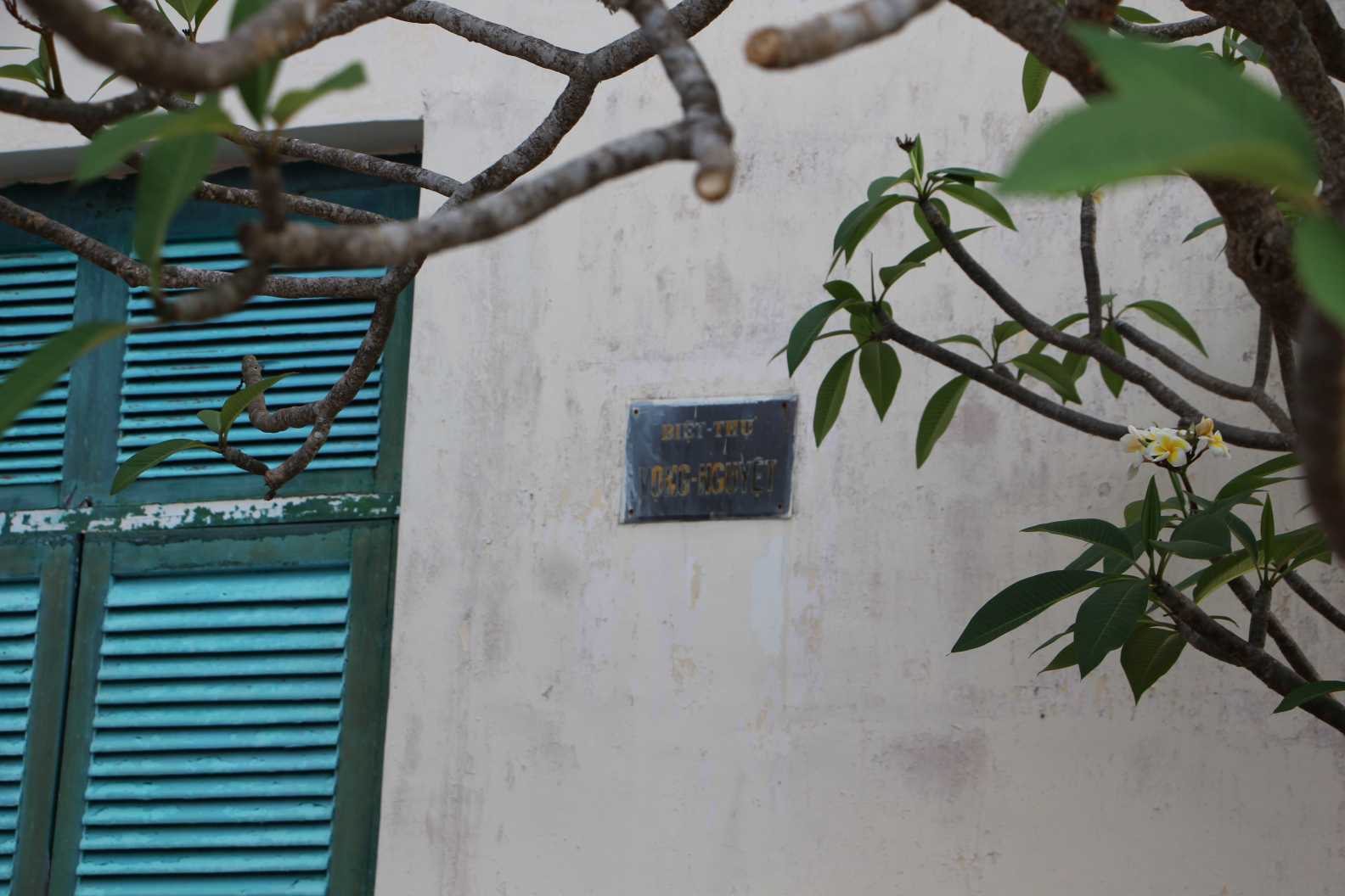 Sau thời gian dài đóng cửa, hôm nay (27.4), Trung tâm Bảo tồn Di sản văn hóa tỉnh mở cửa phục vụ người dân và du khách tham quan di tích Biệt thự Cầu Đá tại biệt thự Bông Sứ (Vọng Nguyệt) từ 7h30-11h30 và từ 13h30-16h30 hàng ngày. Ảnh: Phương Linh