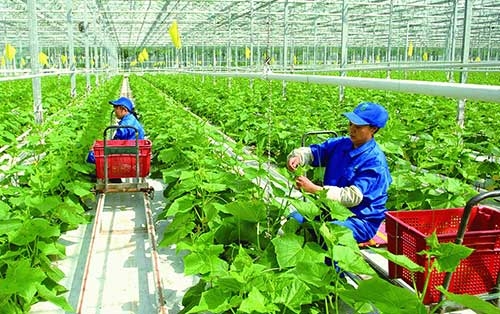 Phân bổ vốn đầu tư công trung hạn gắn với mục tiêu tăng trưởng kinh tế 2 con số