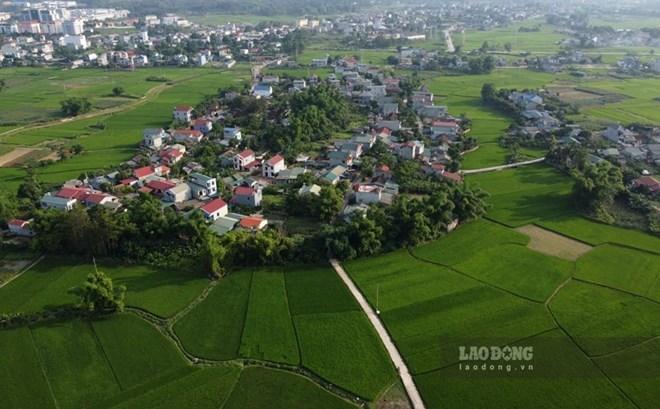 Nhiều khu đất nông nghiệp ở Hà Nội sắp được đấu giá