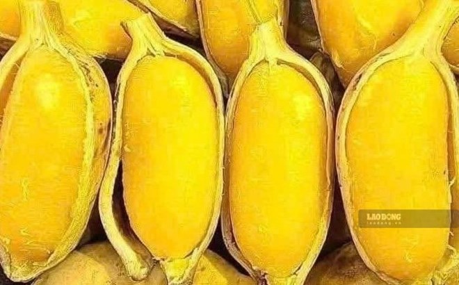 Giảm cân và hỗ trợ ổn định huyết áp từ chuối sáp
