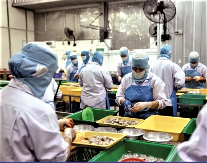 Ngành thủy sản cần chuyển mạnh mô hình tăng trưởng đáp ứng yêu cầu thị trường