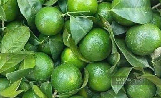 Nước dừa hay nước chanh tốt cho gan