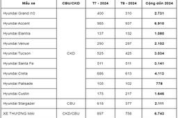 TC Group bán ra 4.67 xe trong tháng 8/2024