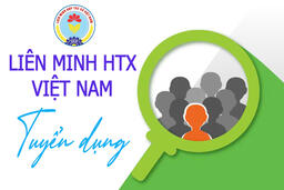 Liên minh Hợp tác xã Việt Nam tuyển dụng người làm việc vào biên chế năm 2024
