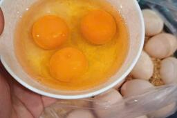5 siêu thực phẩm nhiều protein hơn trứng