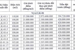 Bất động sản 24h: Đấu giá đất Hưng Yên; Khởi công nhà ở xã hội Vĩnh Phúc