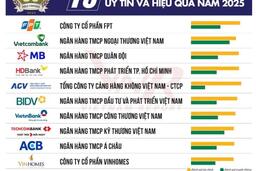 7 ngân hàng nằm trong Top 10 công ty đại chúng uy tín và hiệu quả năm 2025