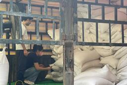 Chi cục Dự trữ Nhà nước khu vực III hoàn thành 13 gói thầu mua gạo