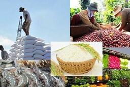 Xuất khẩu nông, lâm, thủy sản 5 tháng đầu năm tăng 15,1%, châu Á là thị trường lớn nhất