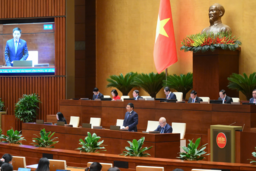 Hộ kinh doanh đóng cửa do lo sợ kiểm tra nguồn gốc hàng hoá, không phải do chính sách thuế
