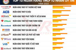 Top 10 “đại gia” ngân hàng và dự báo cơ hội tăng trưởng năm 2025