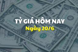 Ngày 20/6: Tỷ giá trung tâm tăng 6 đồng