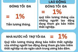 Quy định mức đóng bảo hiểm thất nghiệp