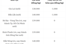 Giá tiêu hôm nay 17/7: Giá tiêu bắt đầu "thở dốc", cố giữ đỉnh 140.000 đồng/kg